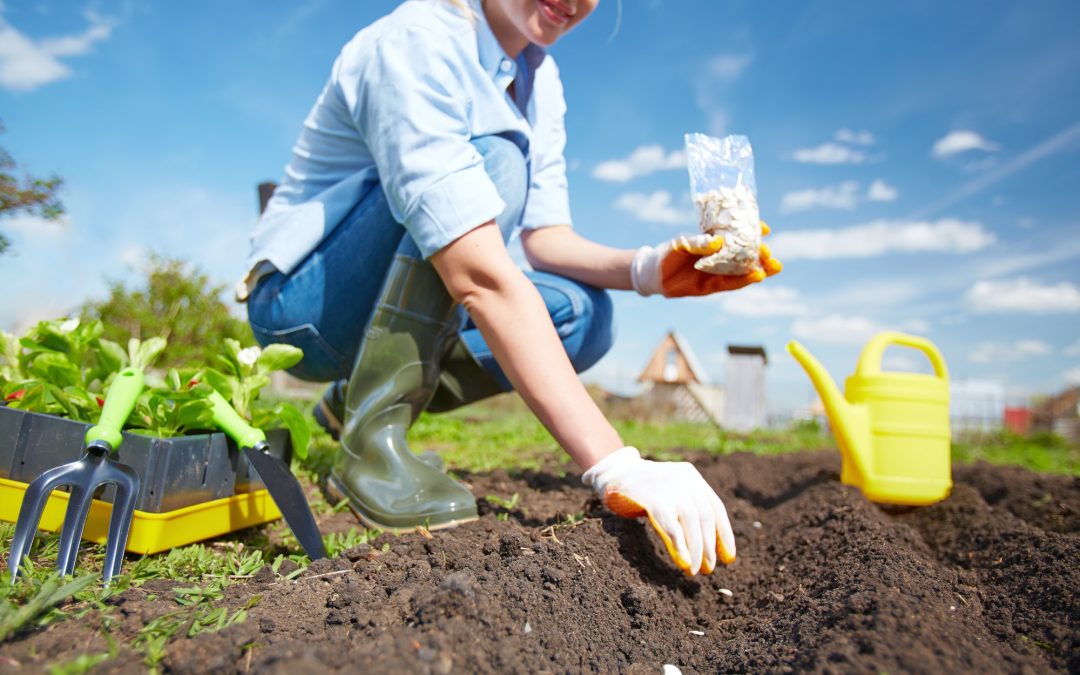 Maintenance Tips For Your Garden